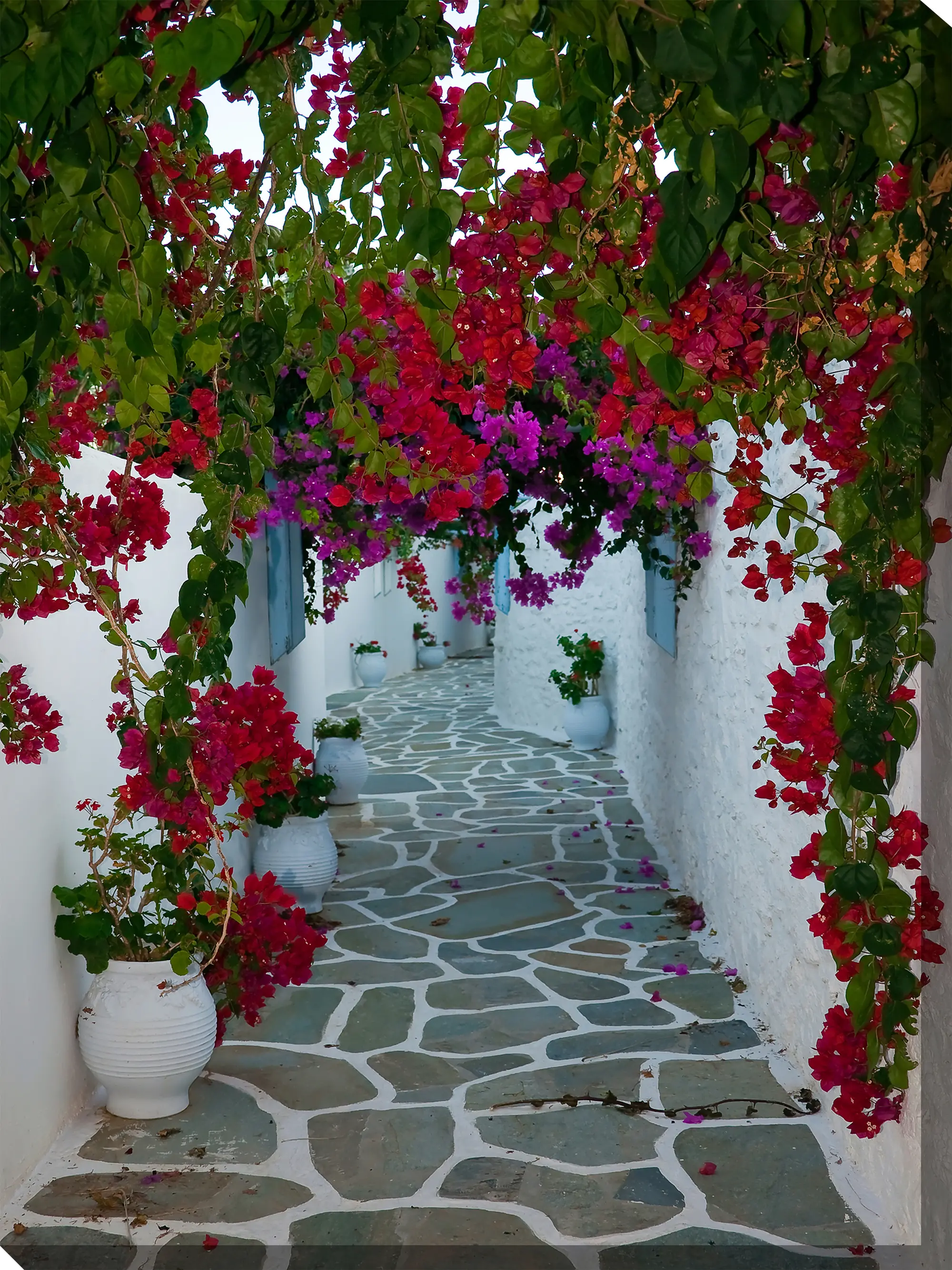Bougainvillea Path Patio Canvas Outdoor-Indoor Wall Art-1