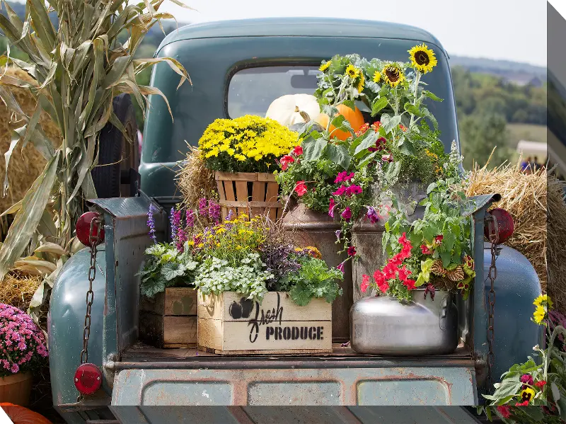 Fresh Produce Patio Canvas Outdoor-Indoor Wall Art