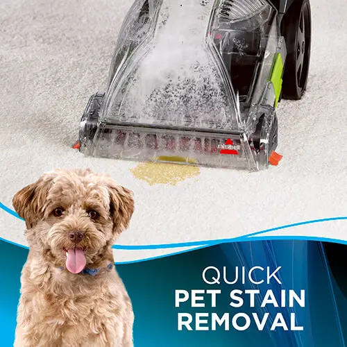 .2085/TURBOCLEAN-PWR BISSELL TurboClean PowerBrush Pet Carpet Cleaner-6