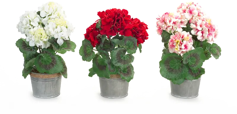 Assorted Multi Color Potted Faux Geranium Arrangement