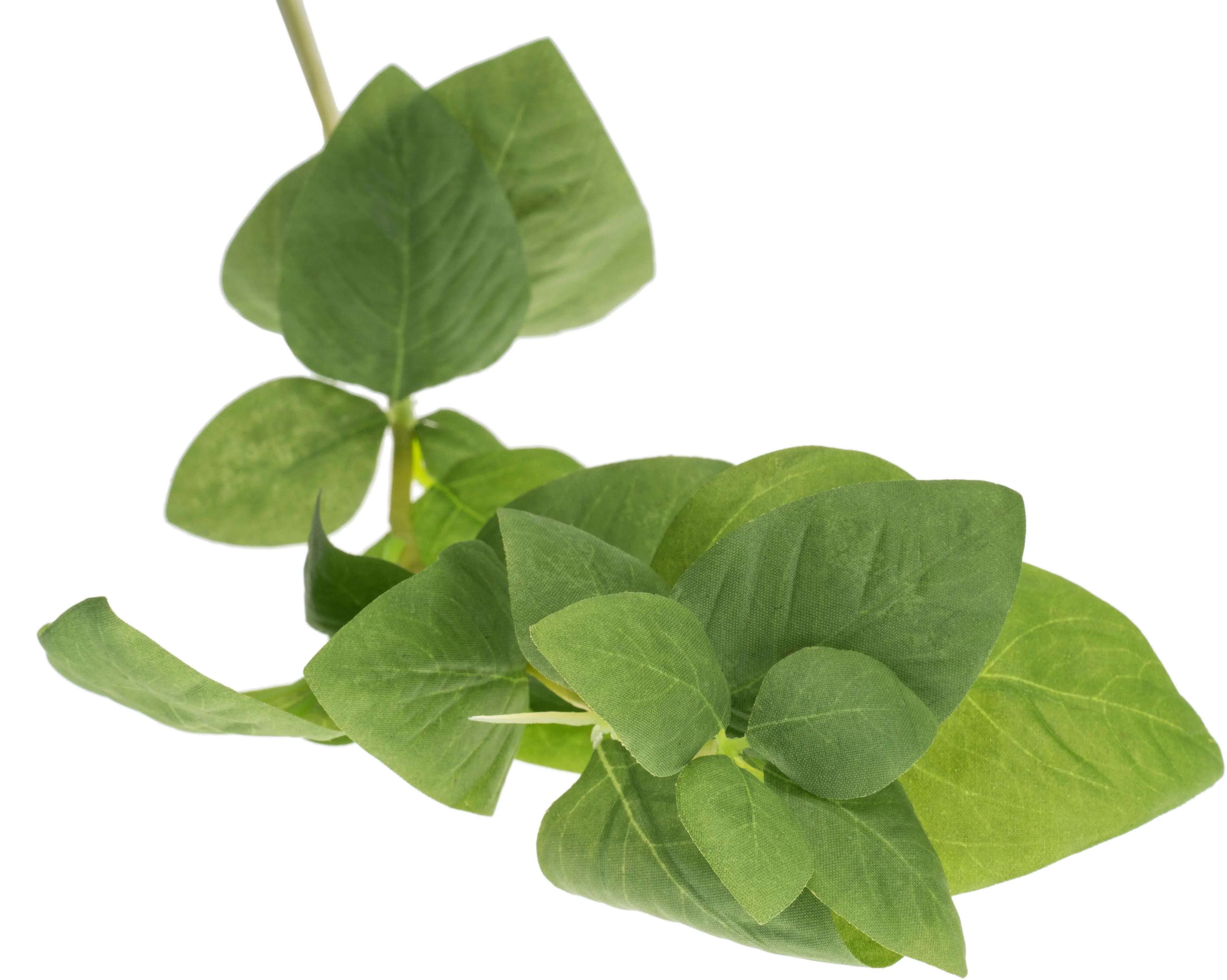 90991008B96 Magnolia Home Furniture Faux Basil Stem for Arrangement-1