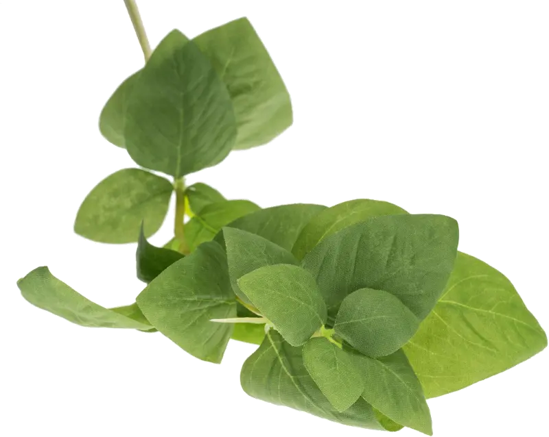 Magnolia Home Furniture Faux Basil Stem for Arrangement