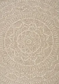 5 x 8 Medium Beige and Cream Indoor-Outdoor Area Rug - Vista    