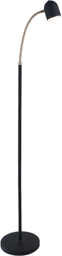 Black and Antique Brass Transitional LED Floor Lamp - Tiara