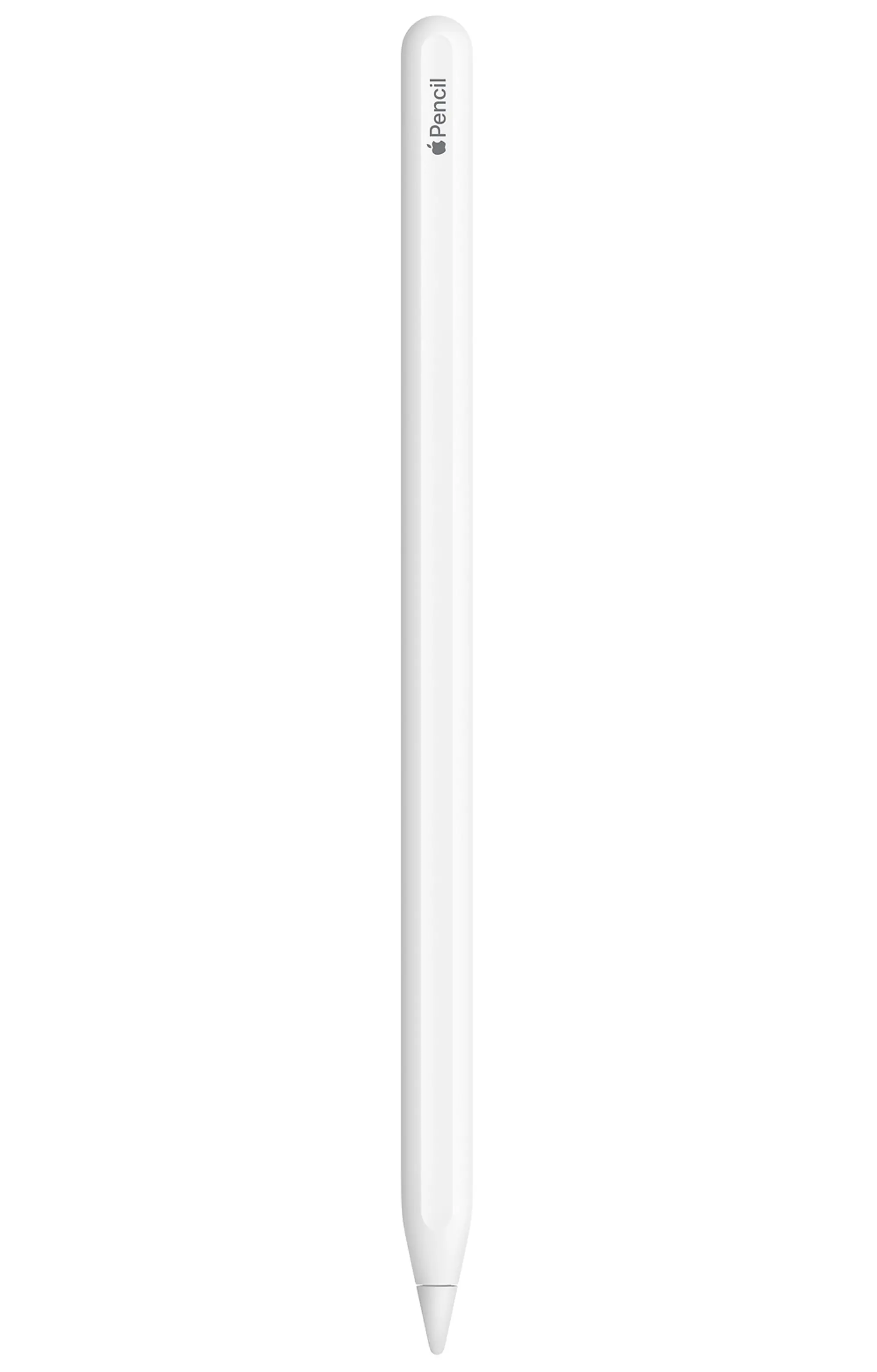 Apple Pencil (2nd Generation) | RC Willey