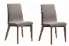 Contemporary Gray and Walnut Dining Room Chair (Set of 2) - Baylor