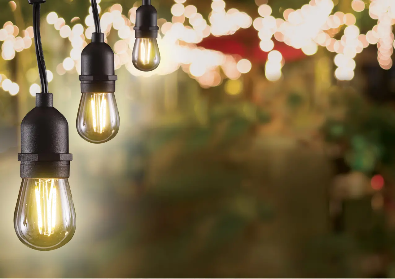 48' LED String Lights-2