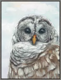 Multi Colored Owl Canvas Framed Wall Art