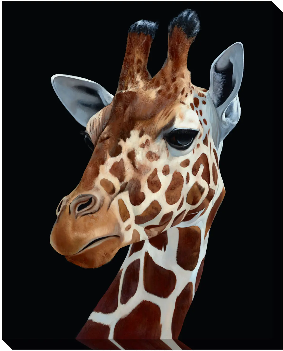 Multi Color Giraffe Canvas Framed Wall Art-1