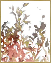 Multi Color Floral Framed Canvas Wall Art