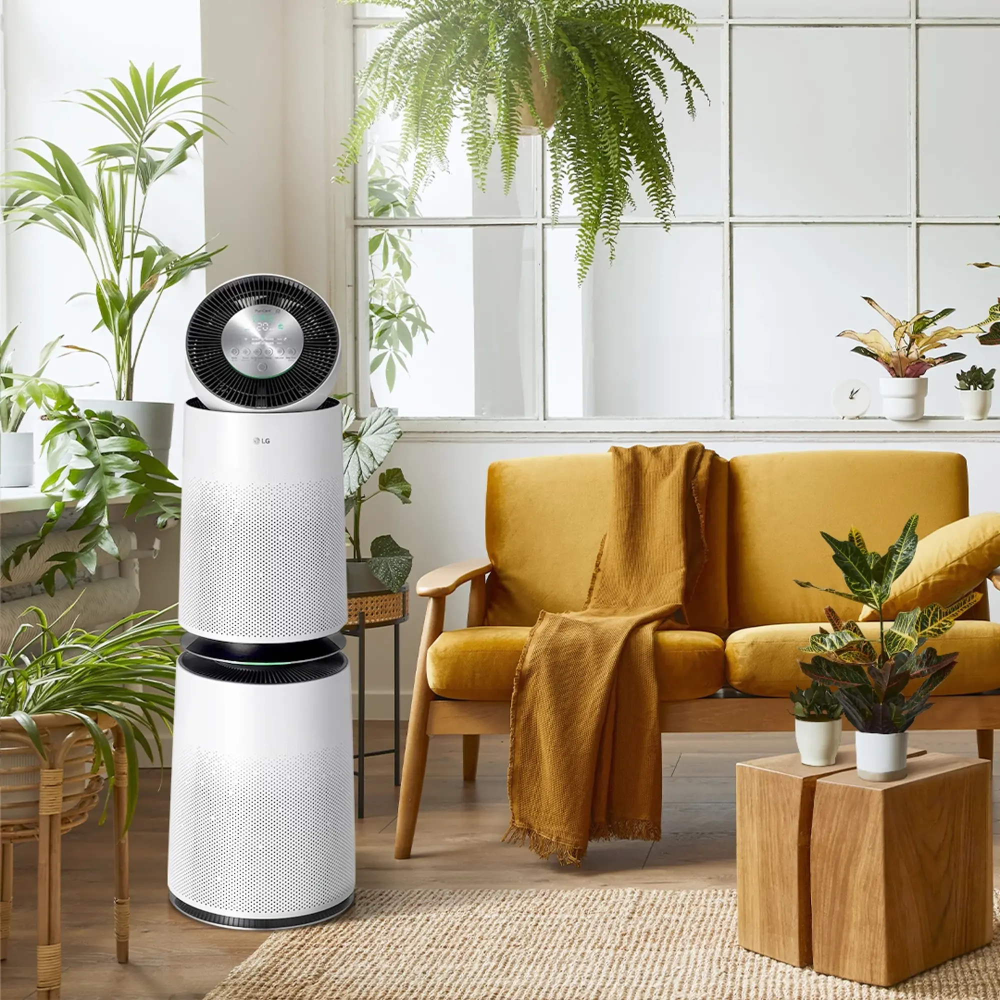 LG PuriCare 360 Air Purifier | RC Willey