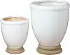 6 Inch White and Brown Ceramic Planter