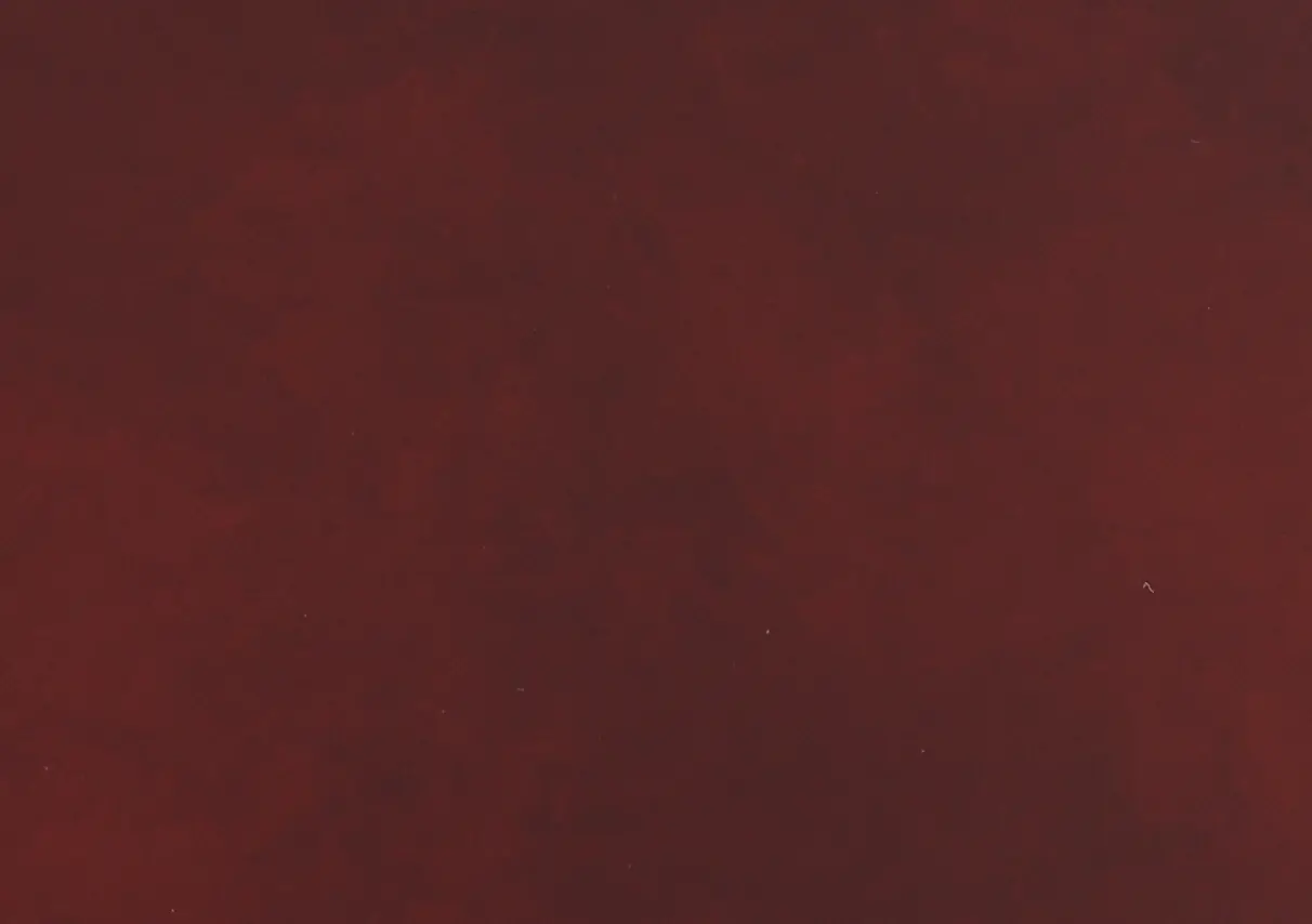 Boston Burgundy Leather Standard Swivel Glider Power Recliner-9