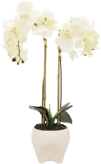 Faux White Double Orchid Flower Arrangement in Footed Pot