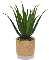 Faux Cactus in Wood Tone Pot
