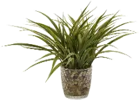 11  Faux Green Grass Arrangement in Round Glass Pot