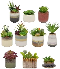 Assorted Multi Color Faux Succulent in Pot