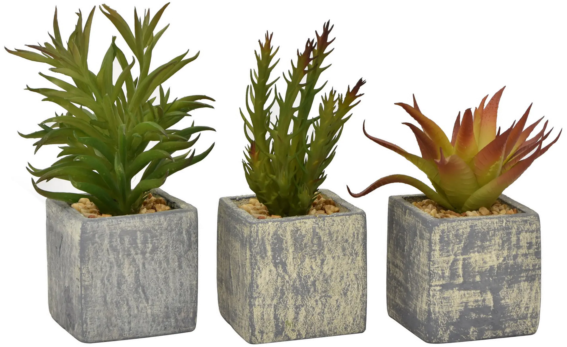Assorted Faux Succulent Arrangements in Square Pot-1