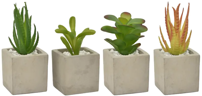 Assorted Multi Color Faux Succulent Arrangement