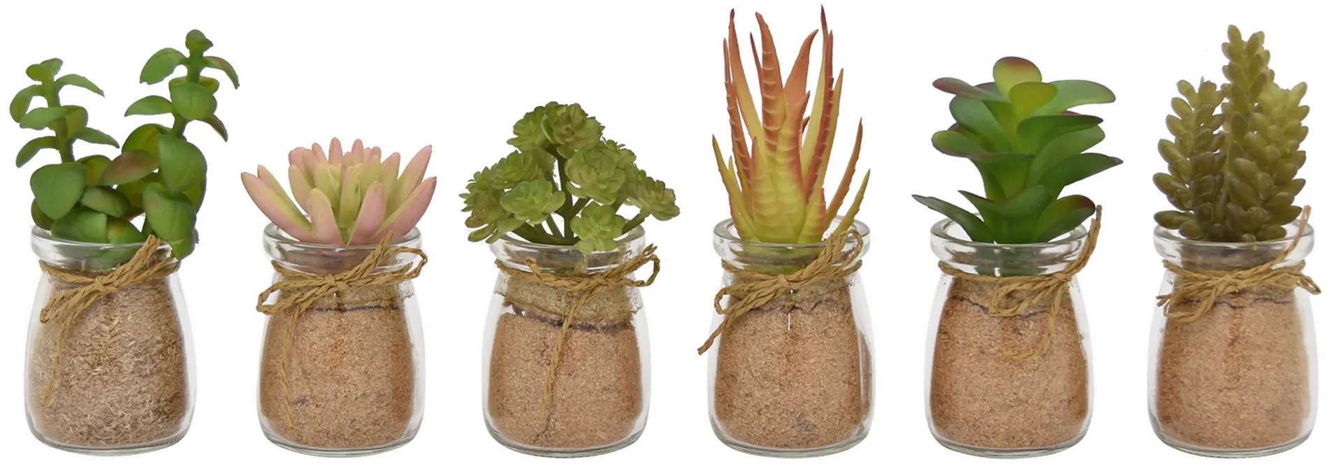 Assorted Faux Succulent in a Jar-1