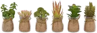Assorted Faux Succulent in a Jar