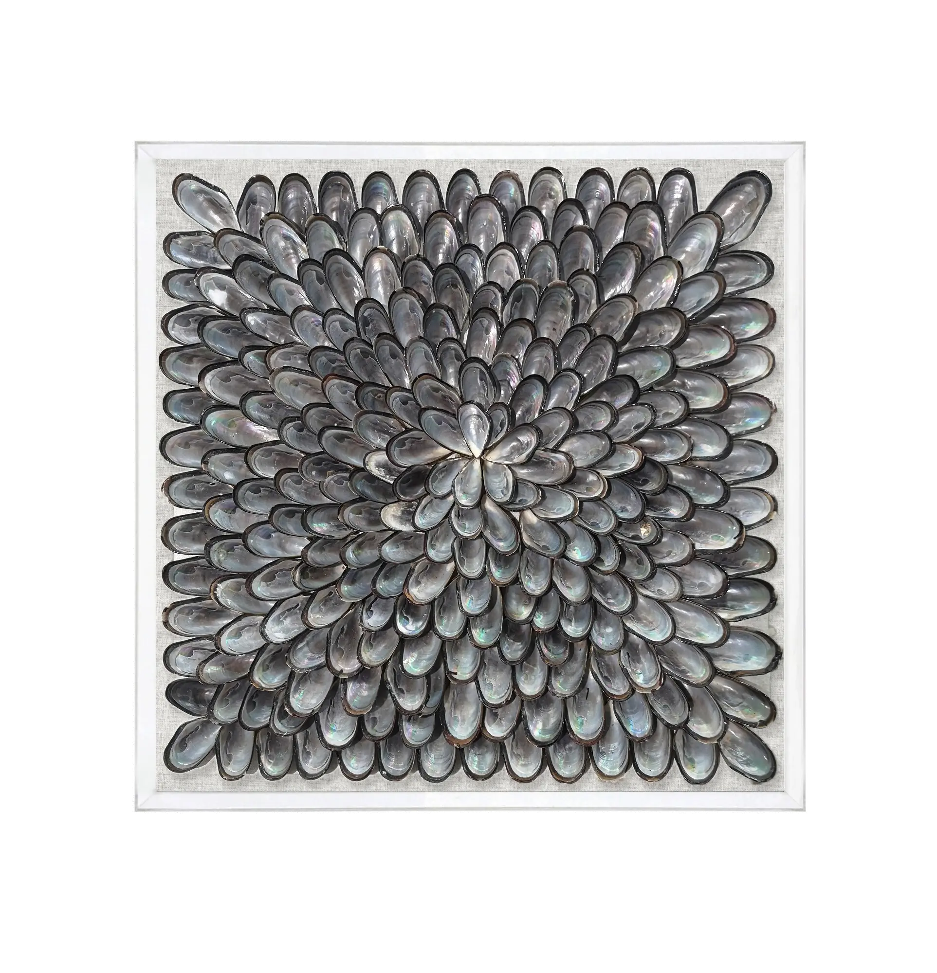Gray and Black Outlined Shells with Acrylic Frame Wall Decor-1