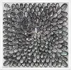 Gray and Black Outlined Shells with Acrylic Frame Wall Decor