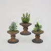 Assorted Faux Succulent Arrangement with Glass Dome