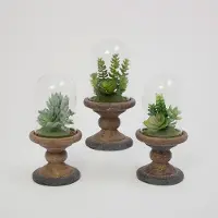 Assorted Faux Succulent Arrangement with Glass Dome