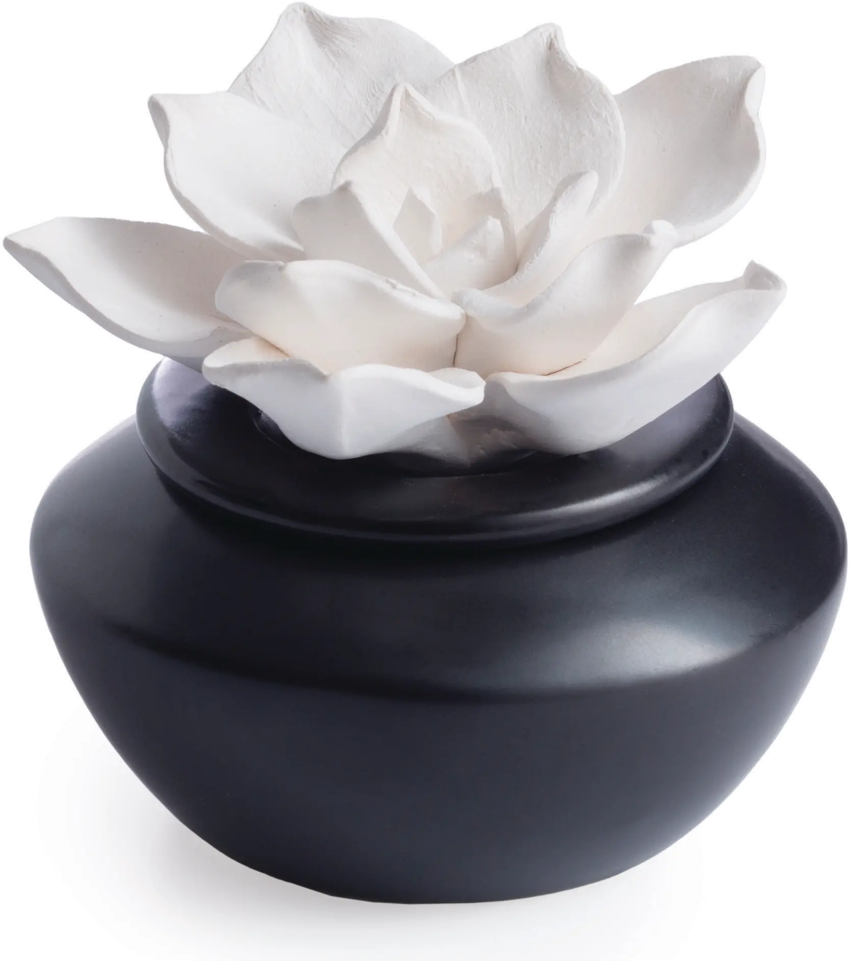 Shiny Black and Botanical Airome Oil Diffuser and Peppermint Oil-1