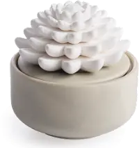 Porcelain Succulent Warm Gray Diffuser Airome