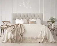 542QVLVLGHGR Julia Velvet Light Gray Queen Upholstered Headboard - Skyline Furniture