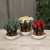 10  Assorted Artificial Spring Flower Arrangement