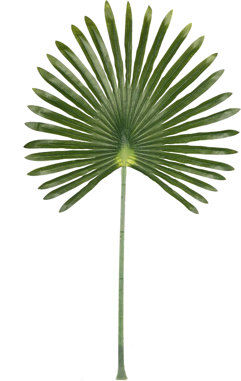 Green Faux Fan Leaf for Arrangement