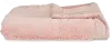 Pink Ballet Slipper Lush Mini Baby Blanket