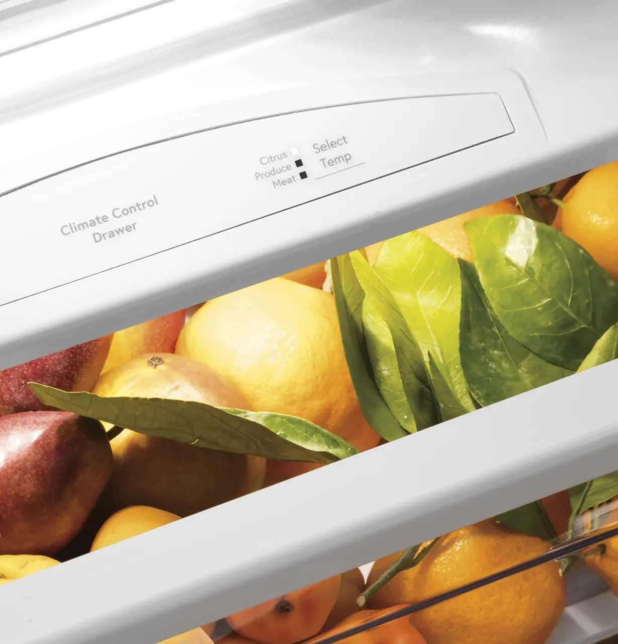 PSB48YSNSS GE Profile 28.7 cu ft Built in Side by Side Refrigerator - 48 W Stainless Steel-7