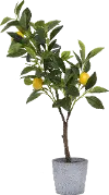 DF0921/LEMONTREE Faux Green Tree with Lemons Arrangement in Cement Pot