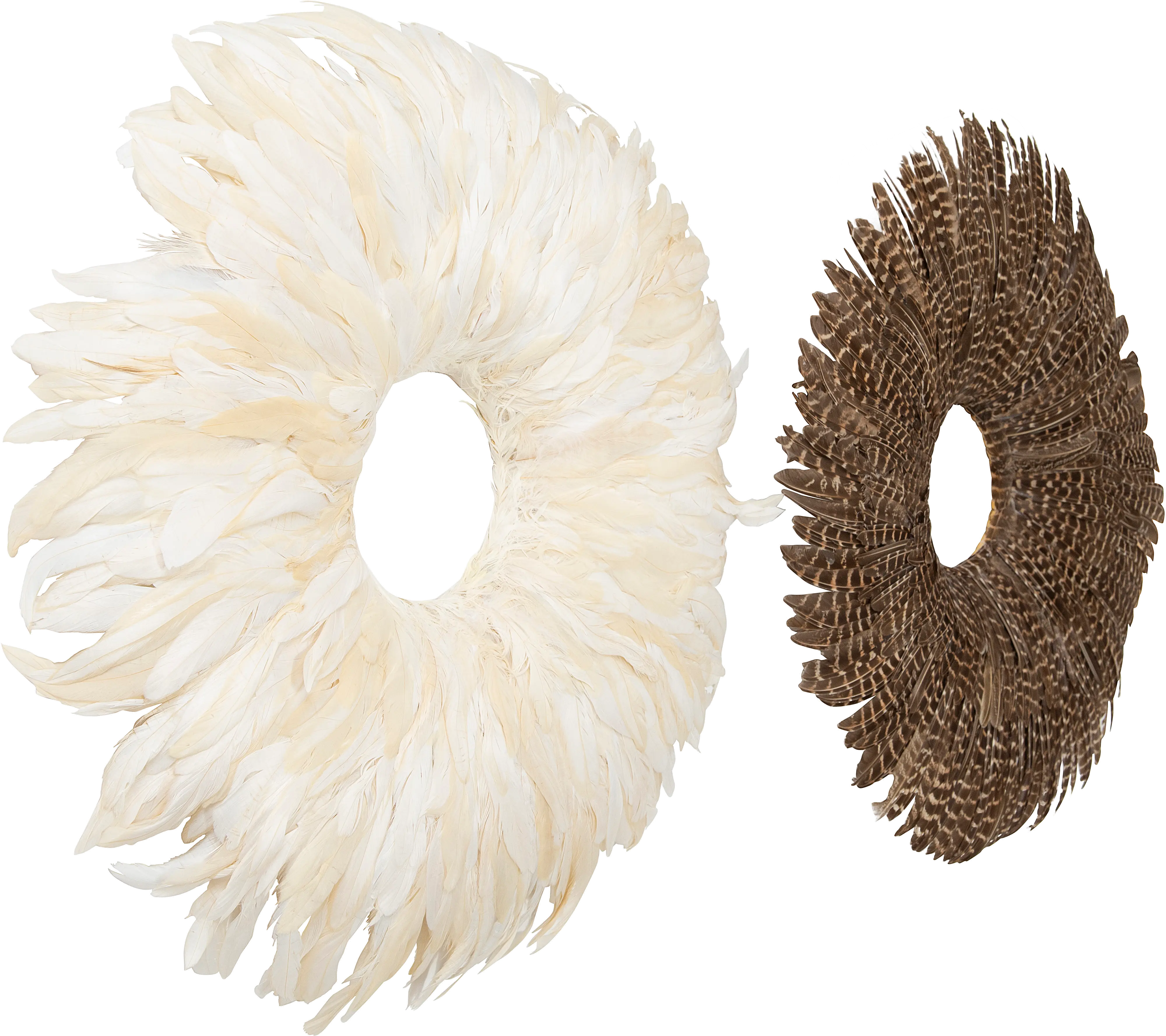 DF1892A-A/2-IND Assorted 23 Inch Round Feather Wall Decor-2