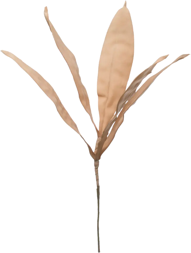 Blush Colored Faux Reed Leaf Stem for Arrangement