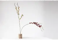 DF2761A/SANDBURSTEM Assorted Faux Coastal Sandbur Stem for Arrangement