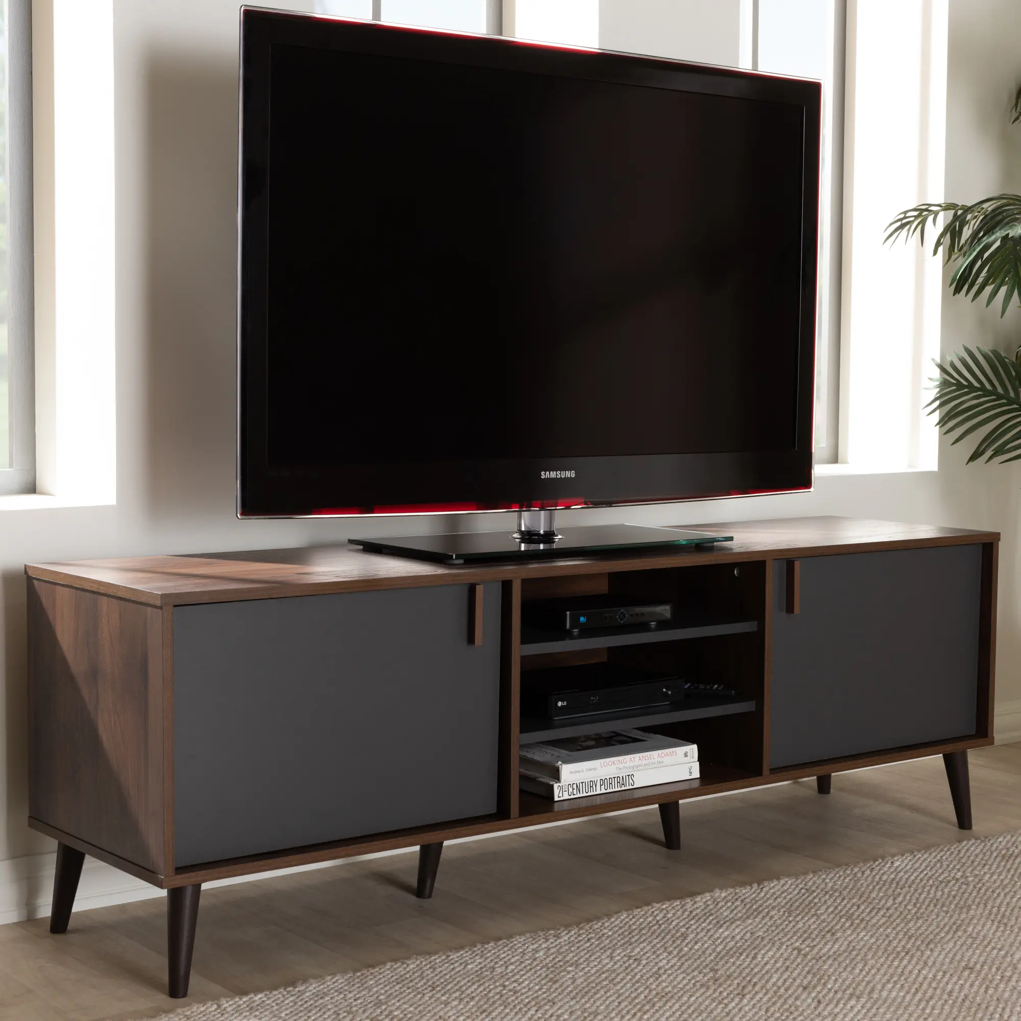 148-8669-RCW Modern Brown and Dark Grey Finished Mid-Century TV Stand - Abilene-2