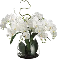 Faux Cream Phalaenopsis Orchid Arrangement in Glass Vase