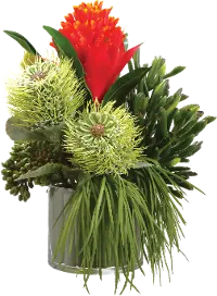 Red and Green Bromeliad, Succulent and Grass in Glass Vase