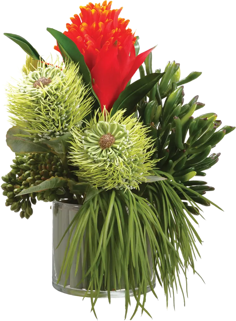 Red and Green Bromeliad, Succulent and Grass in Glass Vase