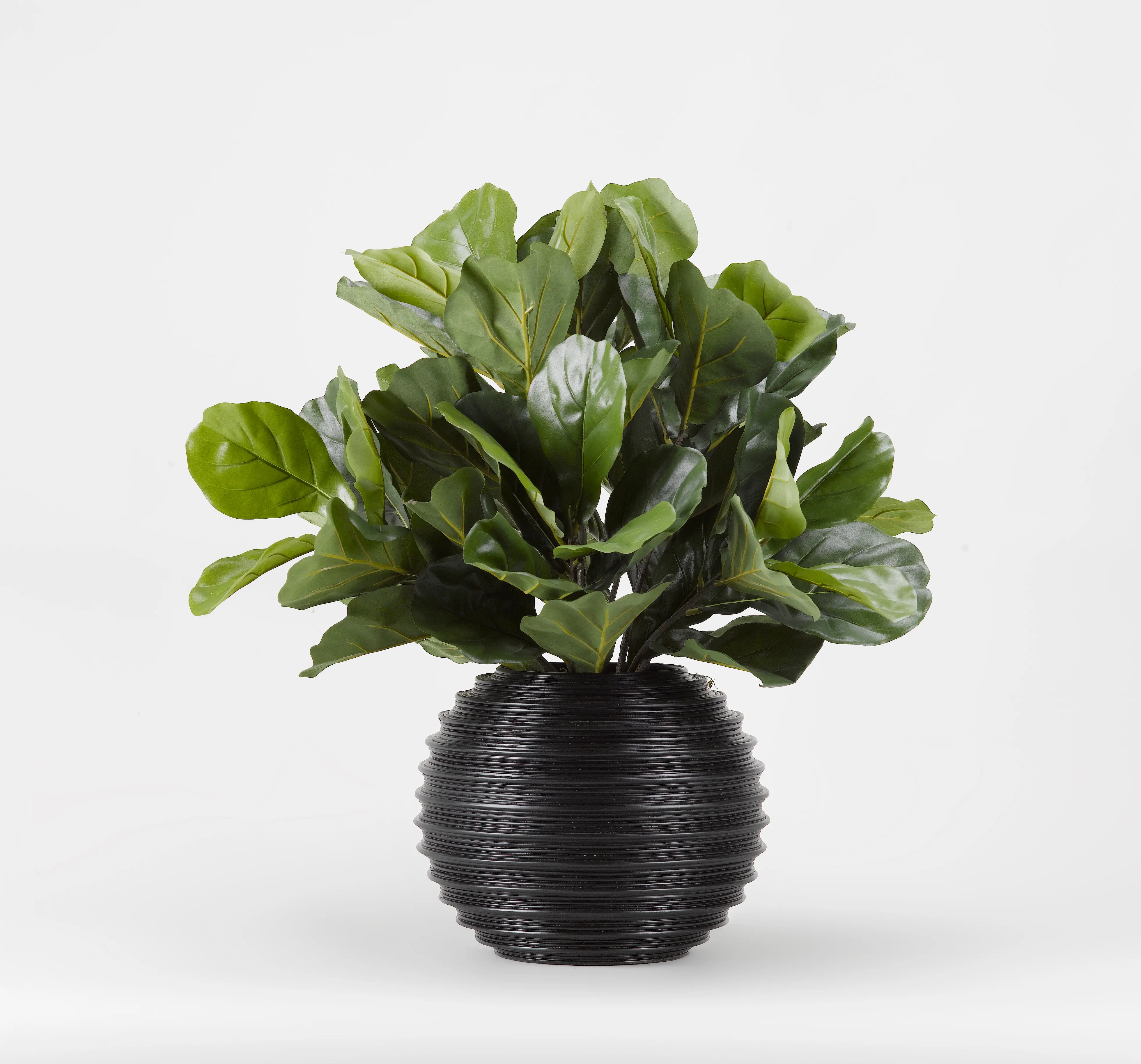 Faux Green Fiddle Leaf Fig Arrangement in Black Ball Planter-1