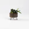 Faux Succulent Arrangement in Rustic Wood Planter