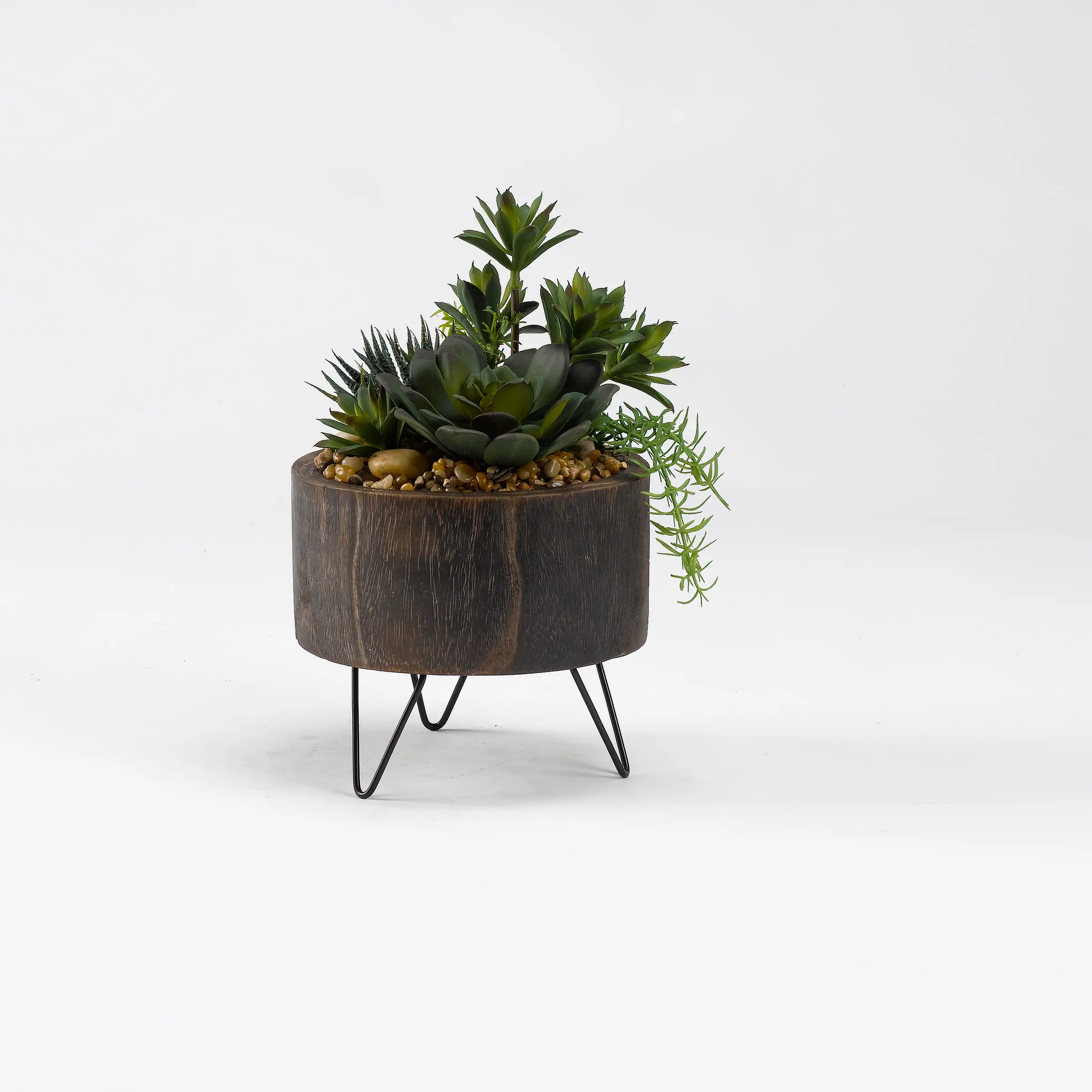 Mini Yucca with Aloe and Echeveria Arrangement in Wood Planter-1