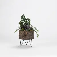 Faux Jade Plants with Yucca and Succulents in Wooden Planter