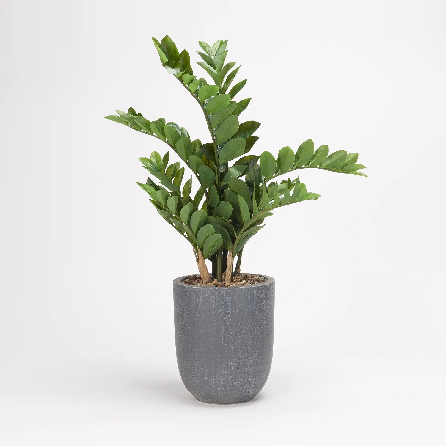 Green Faux Zamfolia Arrangement in Gray Planter-1