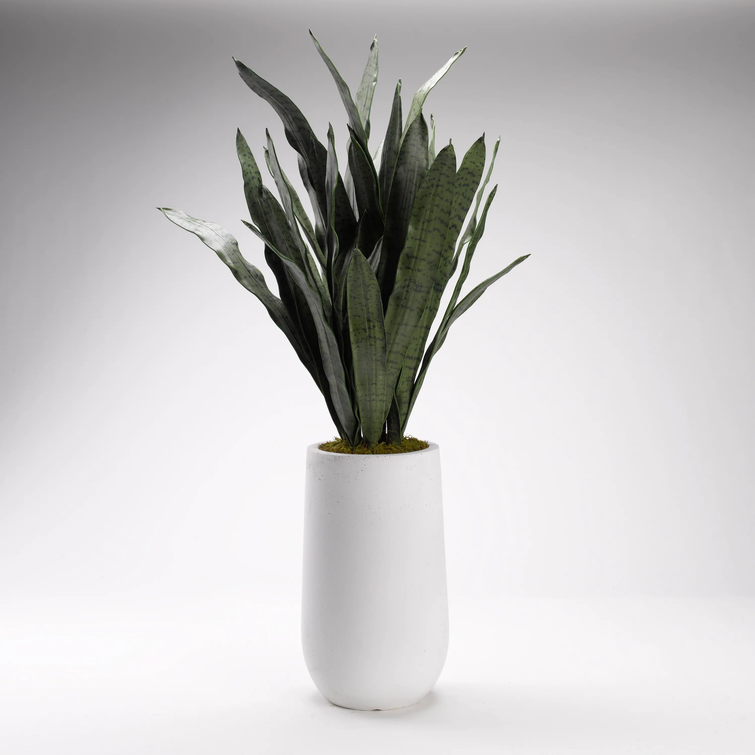 Green Faux Mother In Law's Tongue Arrangement in White Planter-1